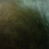 Sergio Sanchez perez