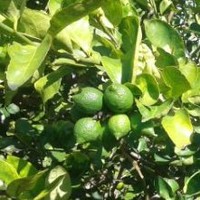 Miguel Martínez Valdés