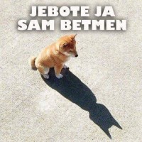 Srdjan Jaksic