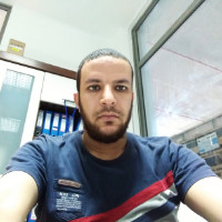 Sayed Shawkat