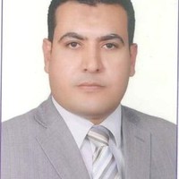 Hossam Eltaweel
