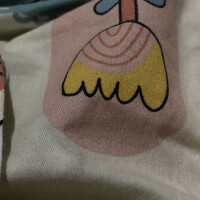 段依然