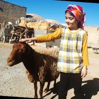 مجید نوبخت