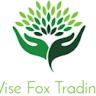 Wise Fox
