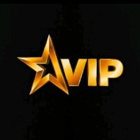 VIP SECURITY FORCE