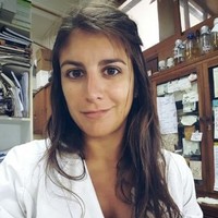 Sofia Noli Truant