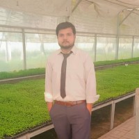 Noman Dilbar