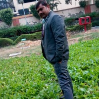 Vikash Yadav