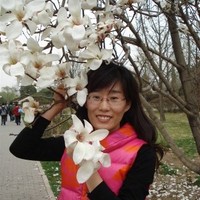 jessy ma