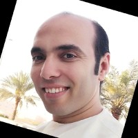 Hamed Amer