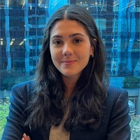 Ana Beatriz Prudente De Mello Guimarães
