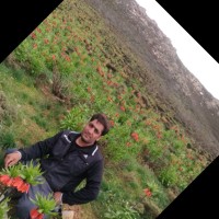 بهمن بهامنی