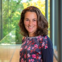 Corine Goedhart - Flipsen