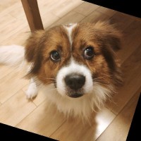 钟铭鑫