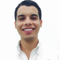 Andres Ibarra Livas