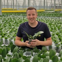 Thom Van Dorp