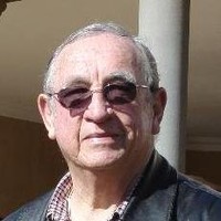 Andries (Louis) Du Pisani