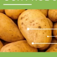 PT Nucofera M.