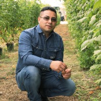 Fausto Serrano