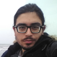 mohammad rasekh
