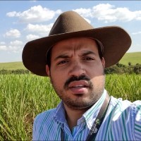 Júlio César Naves B. da Silveira