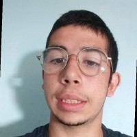 Henrique Ferreira Silva