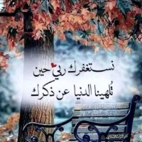 Mahmoud Samy