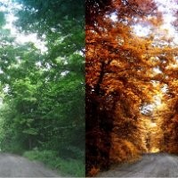 sharperImagesnow.com .