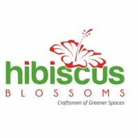 Hibiscus Blossoms