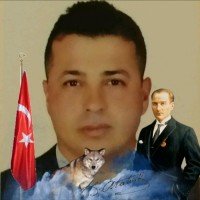 Caner Bulgan