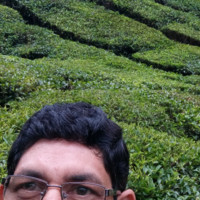 P N Vasudevan