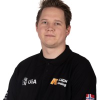 Inge Johan Johansson