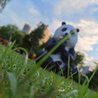 江青龙