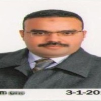 Mohamed Badawi Younis