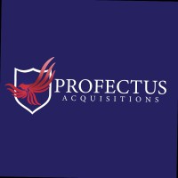 Profectus Acquisitions
