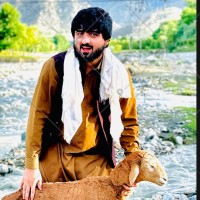Rahmanullah Rahmanullah