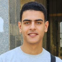 ammar salem