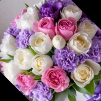 MOHAMMED GHOUSE MOHIUDDIN