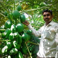 Bapu Khaire