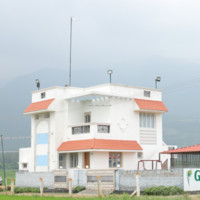 Green Garden