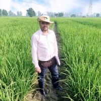Dr. Brijesh Kumar Maurya (Ph. D.)