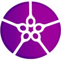 The Client Experience Team
