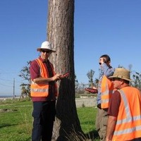 Mark Brown RPF Cert Arb