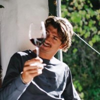 Daniel Colombo