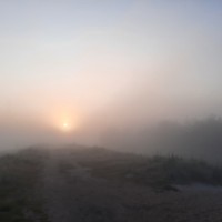 Grzegorz Niemier, MBA Nottingham Trent Univ.