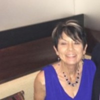 judy boehmer