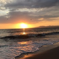 Nick Marron