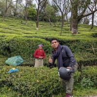 Anant Bansal