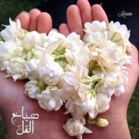 Fouad Faissal