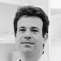 Thomas Mercher